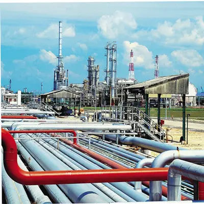 Cebir Kimyasal Plant Projesi